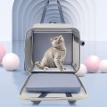 Lightweight Wearable Breathable Pet Backpack